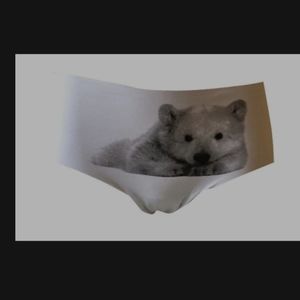 Candi Factory Polar Bear Underwear